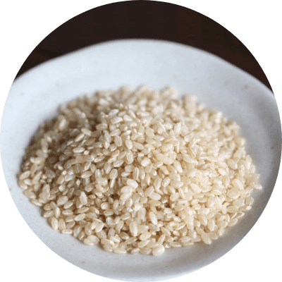 岐阜県産はつしもの胚芽米を使用
