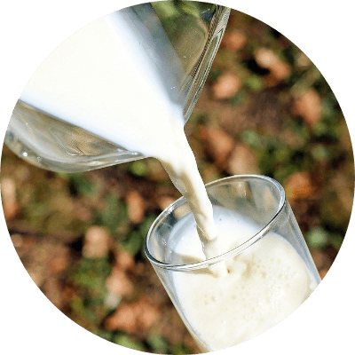 生乳100％使用、成分無調整の｢ひるがの3.6牛乳｣を使用